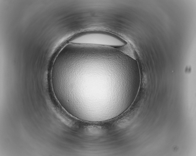 X0000091490535200709061903