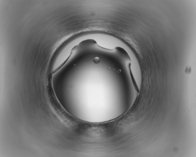 X0000091490536200709061903