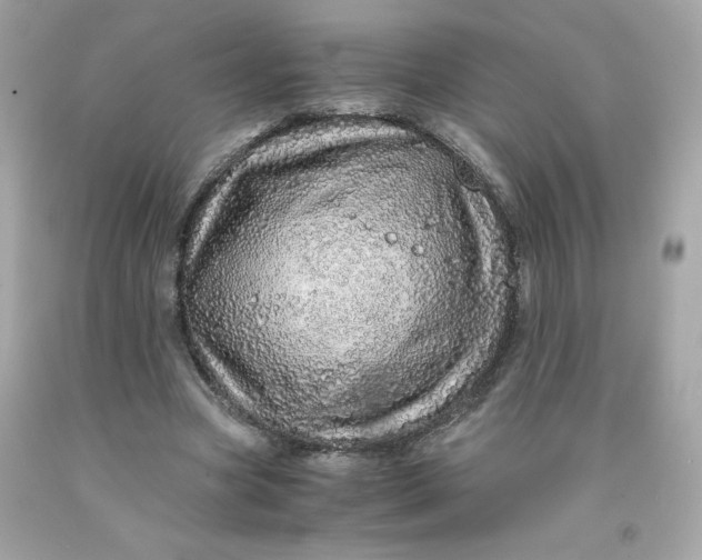 X0000091490537200709061903