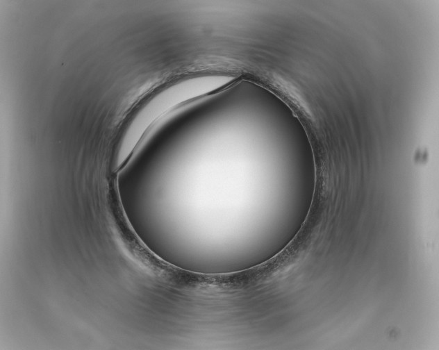 X0000091490538200709061903