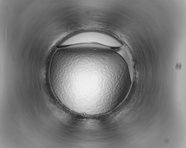 X0000091490539200709061903