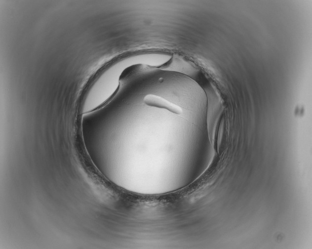 X0000091490540200709061903