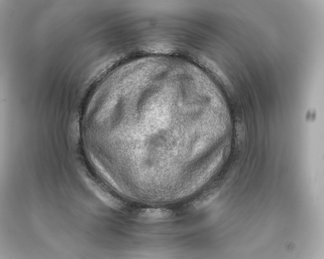 X0000091490541200709061903