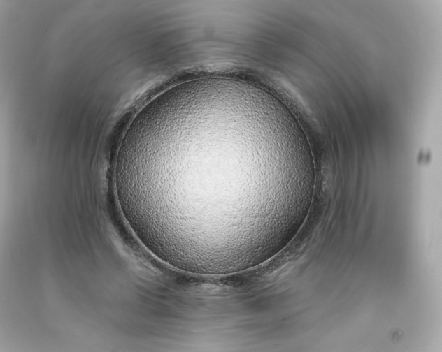 X0000091490542200709061903