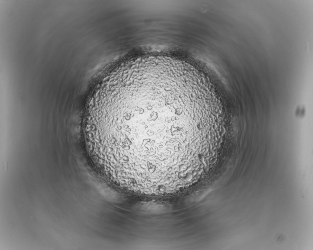 X0000091490545200709061903