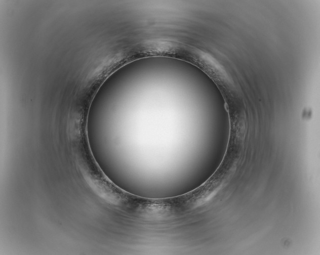 X0000091490546200709061903