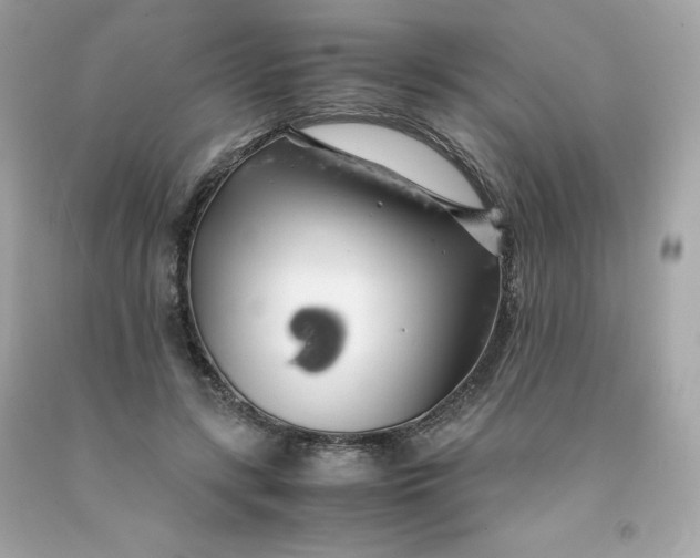 X0000091490547200709061903