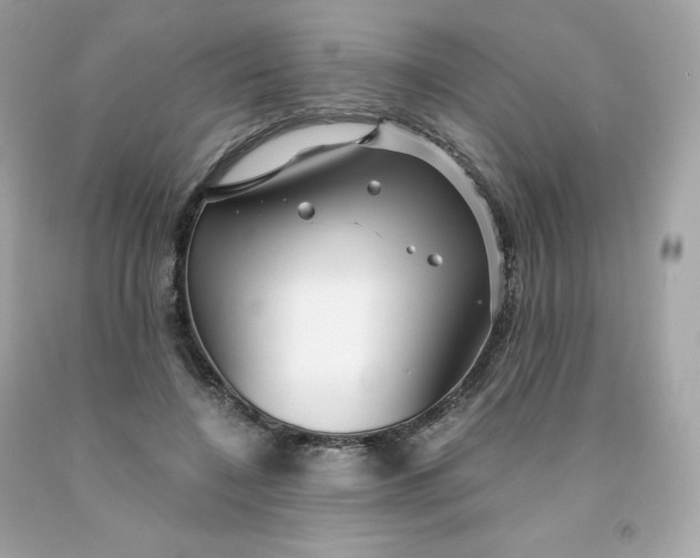 X0000091490548200709061903