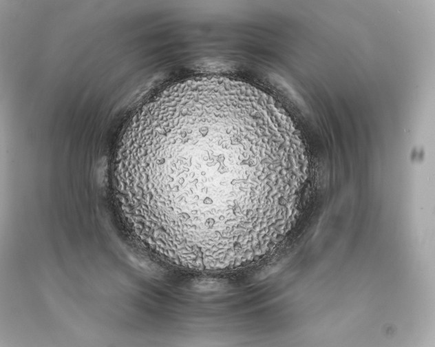 X0000091490549200709061903