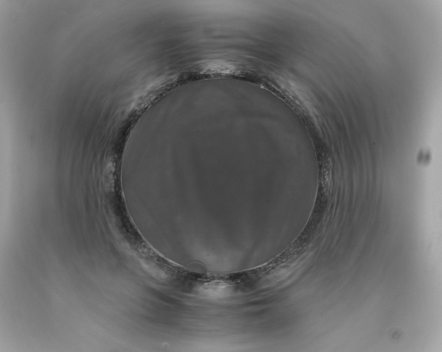 X0000091490551200709061903