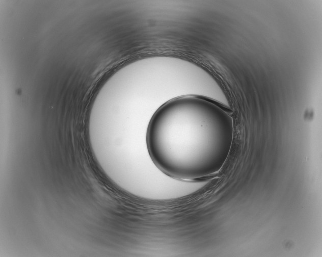 X0000091490552200709061903