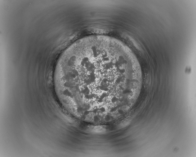 X0000091490553200709061903