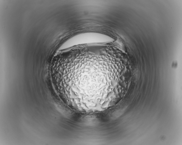 X0000091490554200709061903