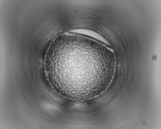 X0000091490555200709061903