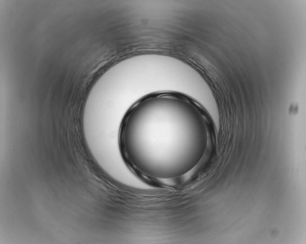 X0000091490556200709061903