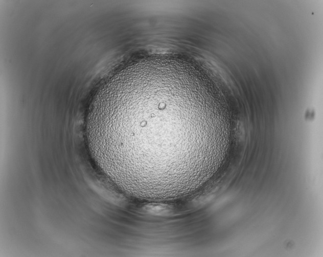 X0000091490557200709061903