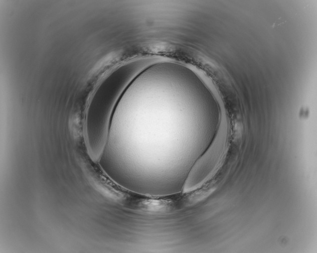 X0000091490558200709061903