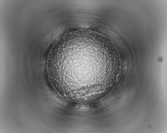 X0000091490559200709061903