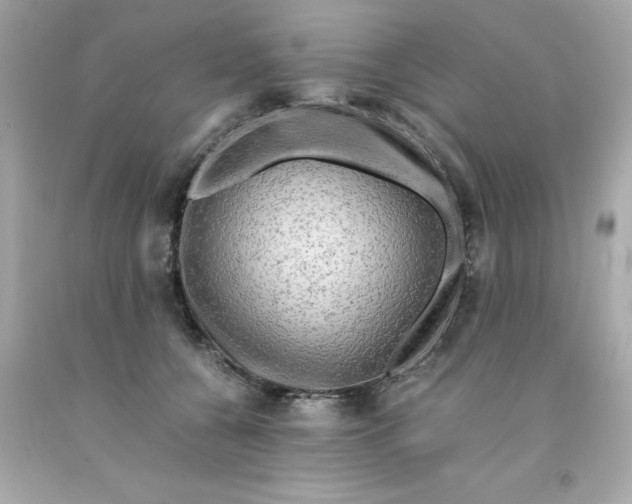 X0000091490560200709061903