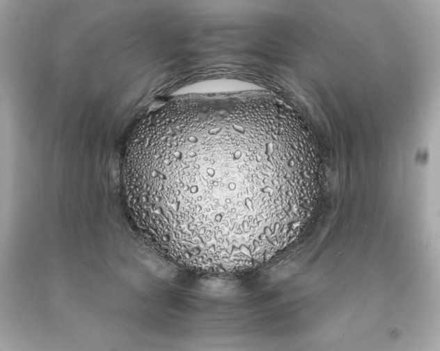 X0000091490561200709061903