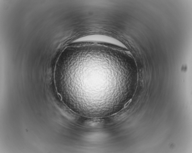 X0000091490563200709061903