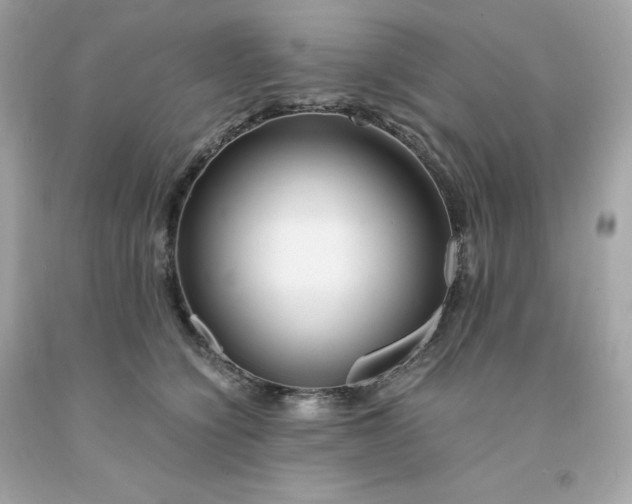 X0000091490564200709061903