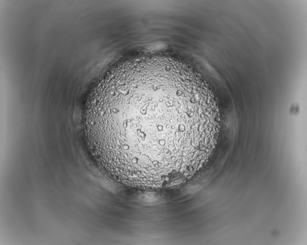 X0000091490565200709061903