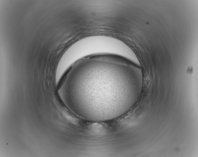 X0000091490566200709061903