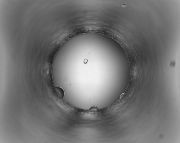 X0000091490567200709061903