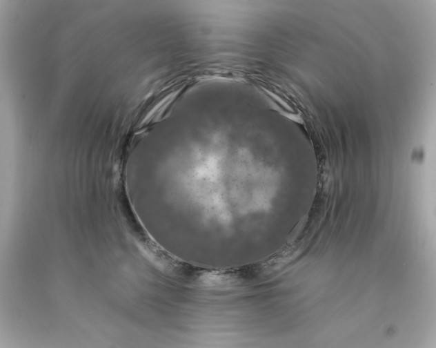 X0000091490568200709061903