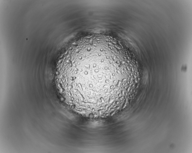 X0000091490569200709061903