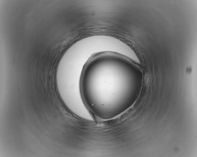 X0000091490570200709061903