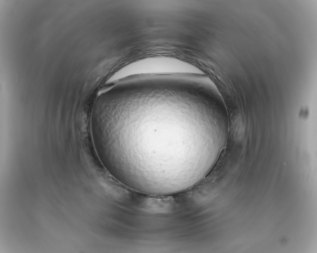 X0000091490571200709061903