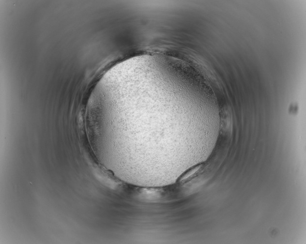 X0000091490573200709061903