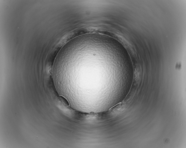 X0000091490574200709061903