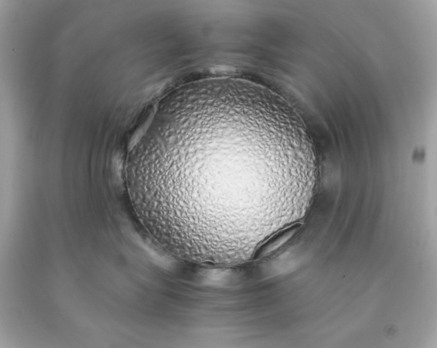 X0000091490575200709061903