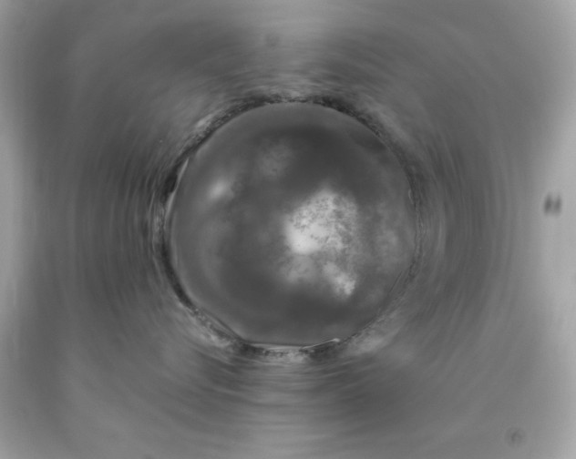 X0000091490576200709061903