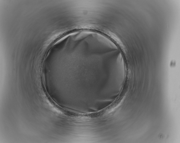 X0000091490577200709061903