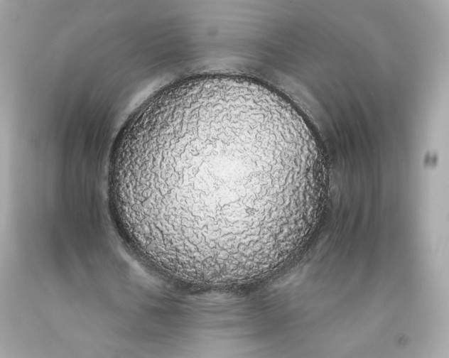 X0000091490578200709061903