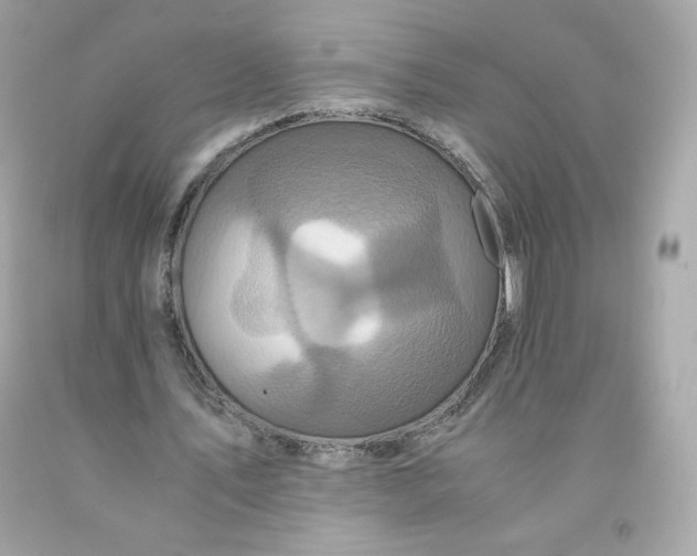 X0000091490579200709061903