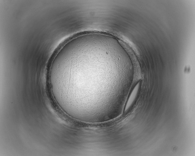 X0000091490580200709061903