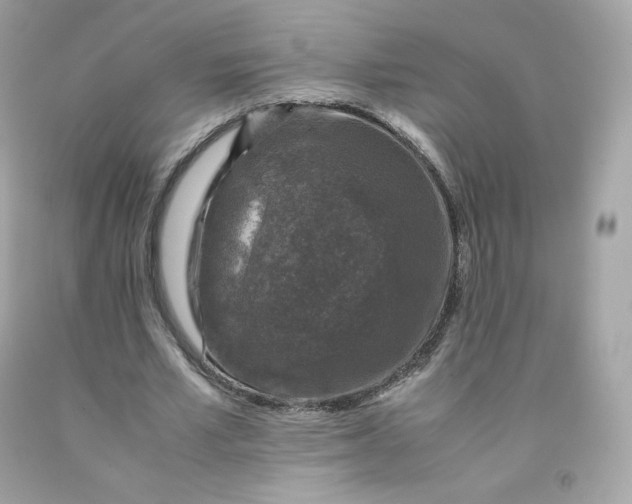 X0000091490581200709061903