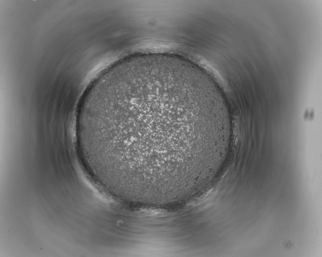 X0000091490582200709061903