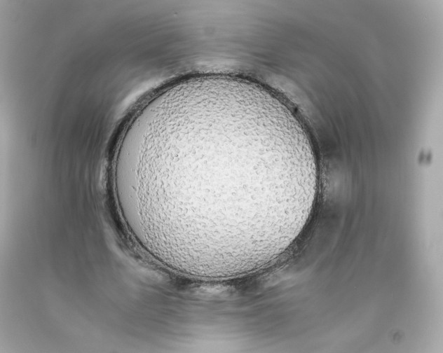 X0000091490583200709061903