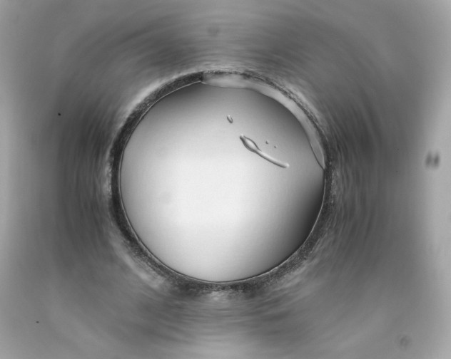 X0000091490584200709061903