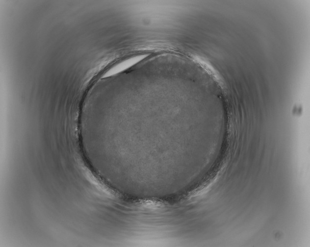 X0000091490585200709061902