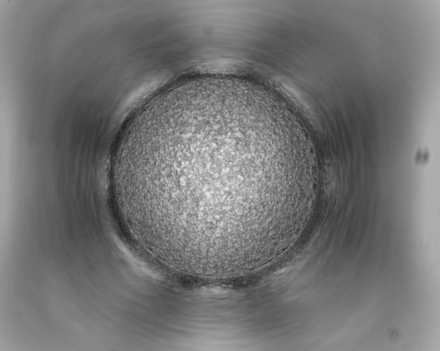 X0000091490586200709061902