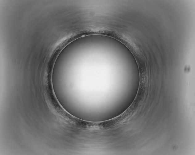 X0000091490587200709061902