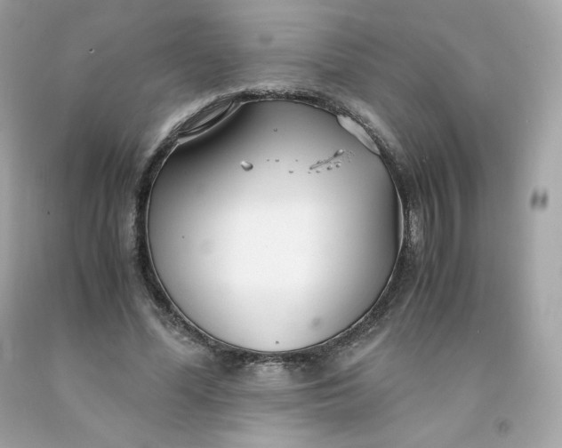 X0000091490588200709061902