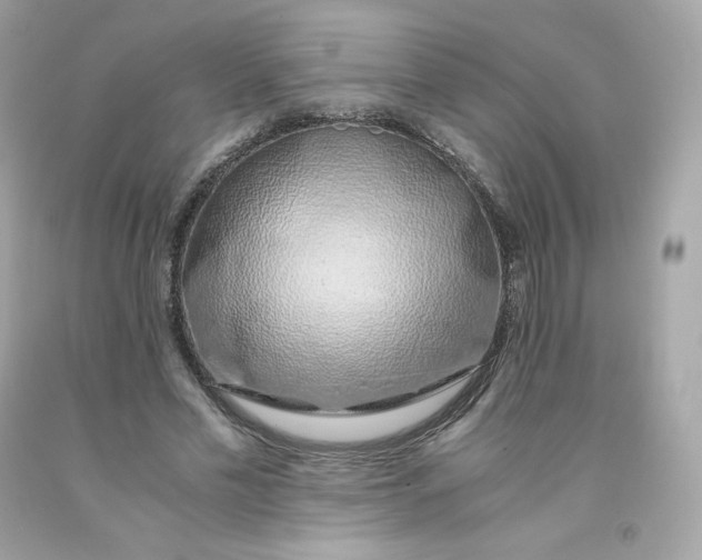 X0000091490589200709061902